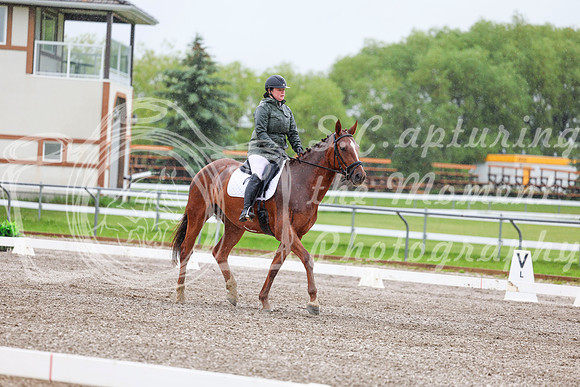 2025 - Dressage Festival - Sunday July 6th - 03574