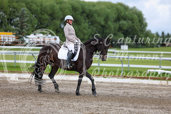 2025 - Dressage Festival - Sunday July 6th - 10457