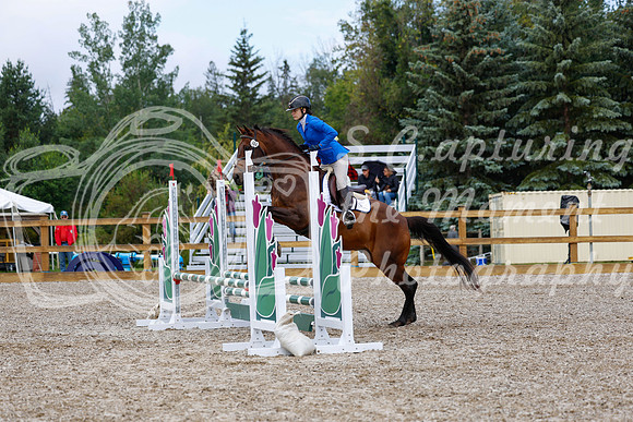 2025 - Haylee - Picco Horse Show - Sunday July 27th 01778