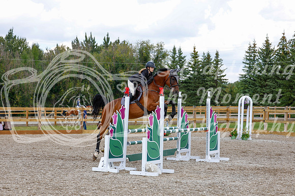 2025 - Haylee - Picco Horse Show - Saturday July 26th 06837