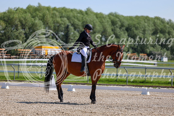 2025 - Dressage Festival - Saturday July 5th - 04315