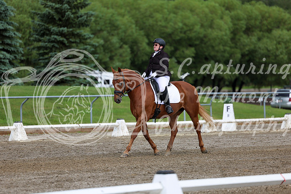 2025 - Dressage Festival - Sunday July 6th - 11292