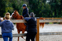 2025 - Haylee - Picco Horse Show - Saturday July 26th 00009