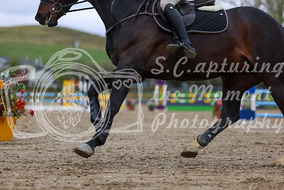 2025 - Shea - Bow Valley II - Thursday May 15th - 02818