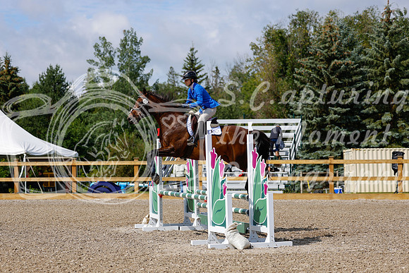 2025 - Haylee - Picco Horse Show - Sunday July 27th 02444
