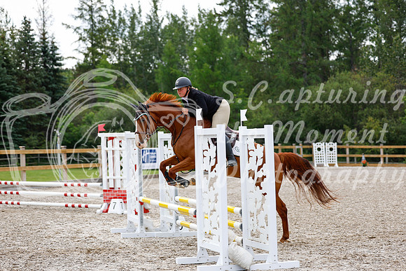 2025 - Haylee - Picco Horse Show - Saturday July 26th 02663