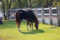 2025 - Mykenzi - Jump With Hope - Thursday July 17th 00008