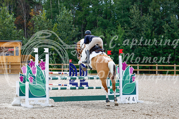 2025 - Haylee - Picco Horse Show - Sunday July 27th 04384