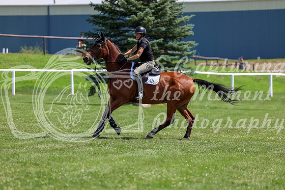 2025 - Shea - Teesdale - Thursday July 24th - 01450