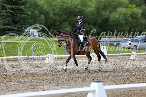 2025 - Dressage Festival - Sunday July 6th - 14402