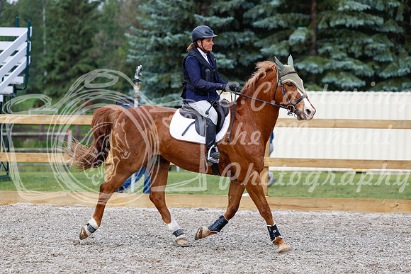 2025 - Haylee - Picco Horse Show - Saturday July 26th 03131