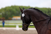 2025 - Dressage Festival - Sunday July 6th - 08022