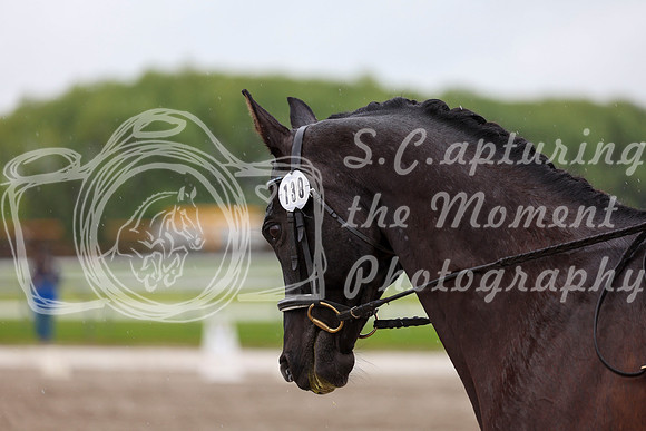 2025 - Dressage Festival - Sunday July 6th - 08022