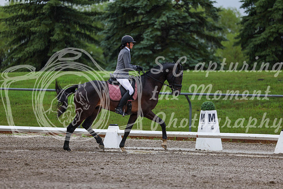 2025 - Dressage Festival - Sunday July 6th - 00637
