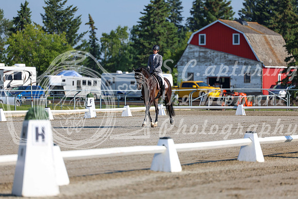 2025 - Dressage Festival - Saturday July 5th - 00115