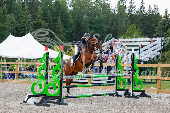 2025 - Haylee - Picco Horse Show - Sunday July 27th 04560