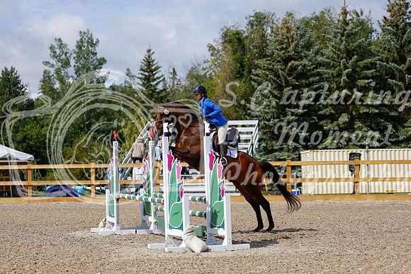 2025 - Haylee - Picco Horse Show - Sunday July 27th 02436