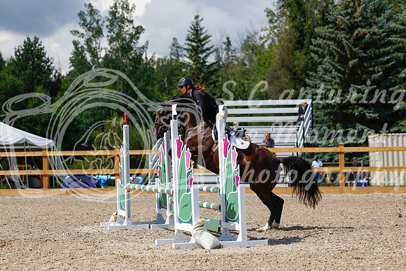 2025 - Haylee - Picco Horse Show - Sunday July 27th 03074