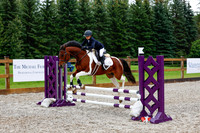 2025 - Haylee - Picco Horse Show - Sunday July 27th 01445