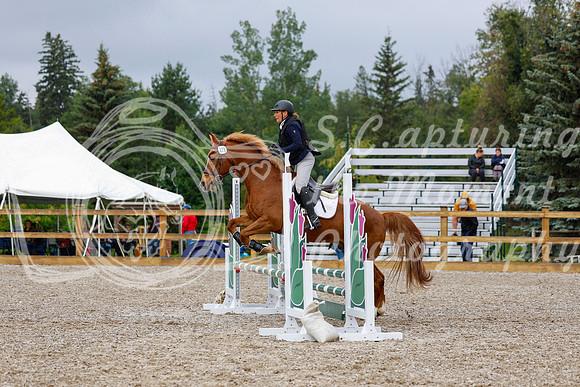 2025 - Haylee - Picco Horse Show - Sunday July 27th 01391