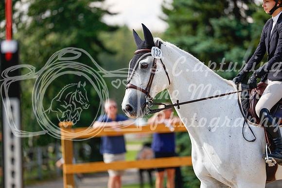 2025 - Haylee - Picco Horse Show - Saturday July 26th 07898
