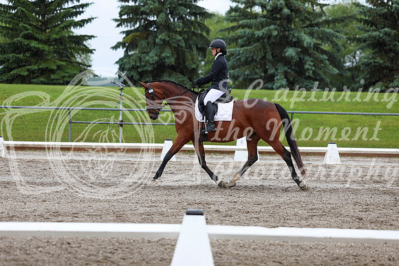 2025 - Dressage Festival - Sunday July 6th - 07808