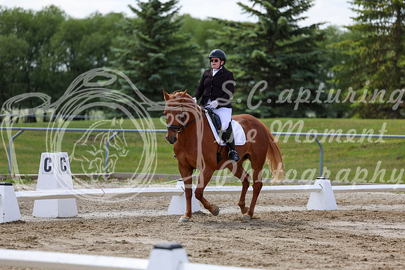 2025 - Dressage Festival - Saturday July 5th - 09603