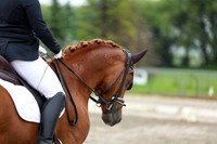 2025 - Dressage Festival - Sunday July 6th - 09009