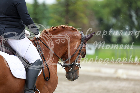2025 - Dressage Festival - Sunday July 6th - 09009