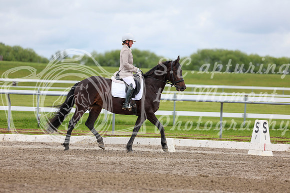 2025 - Dressage Festival - Sunday July 6th - 10569