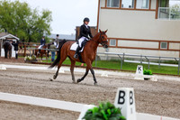 2025 - Dressage Festival - Sunday July 6th - 04999