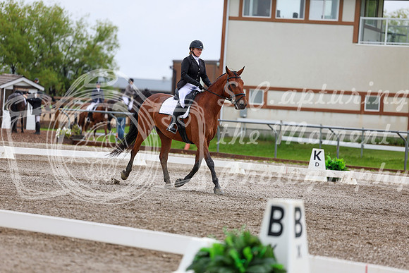2025 - Dressage Festival - Sunday July 6th - 04999