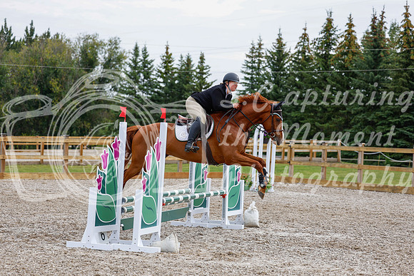 2025 - Haylee - Picco Horse Show - Saturday July 26th 02655