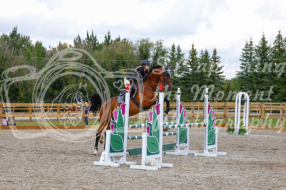 2025 - Haylee - Picco Horse Show - Saturday July 26th 06836