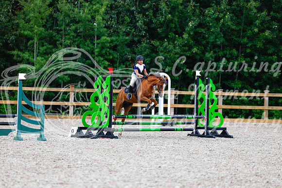 2025 - Haylee - Picco Horse Show - Thursday July 24th 01408