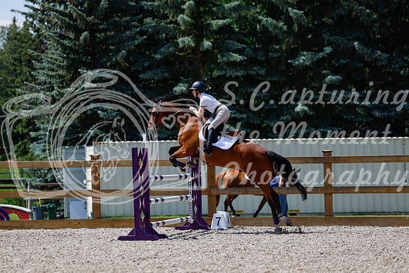 2025 - Haylee - Picco Horse Show - Thursday July 24th 03767