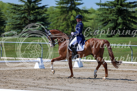 2025 - Dressage Festival - Saturday July 5th - 04269