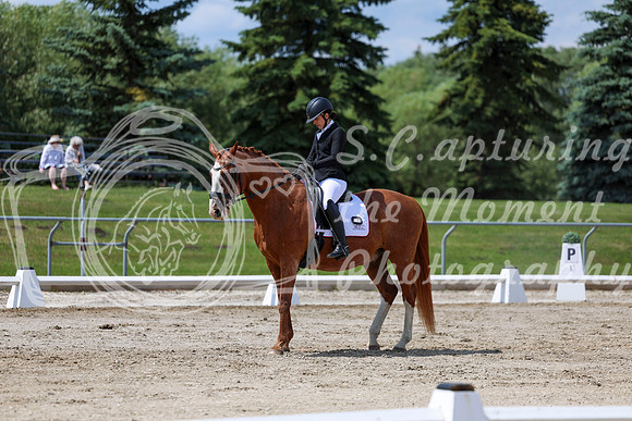 2025 - Dressage Festival - Saturday July 5th - 10087