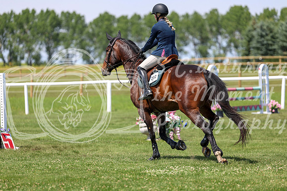 2025 - Shea - Teesdale - Thursday July 24th - 02853