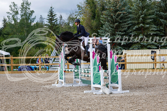 2025 - Haylee - Picco Horse Show - Sunday July 27th 02851