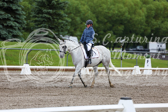 2025 - Dressage Festival - Sunday July 6th - 04823