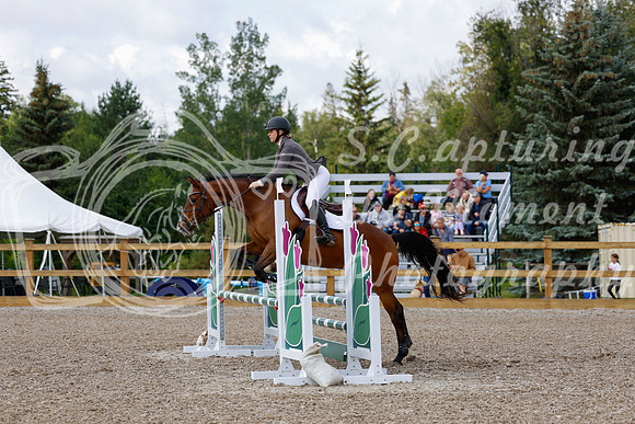 2025 - Haylee - Picco Horse Show - Sunday July 27th 02577