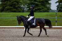 2025 - Dressage Festival - Sunday July 6th - 00016