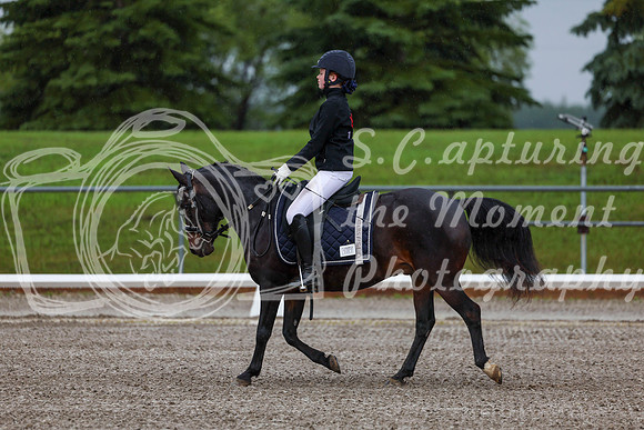 2025 - Dressage Festival - Sunday July 6th - 00016