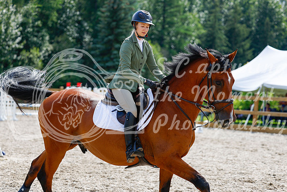 2025 - Haylee - Picco Horse Show - Saturday July 26th 07752