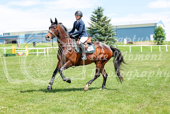 2025 - Shea - Teesdale - Thursday July 24th - 02849