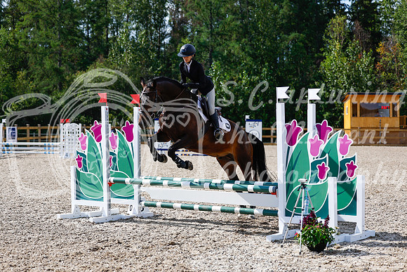 2025 - Haylee - Picco Horse Show - Thursday July 24th 01079