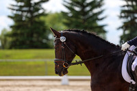 2025 - Dressage Festival - Saturday July 5th - 14741
