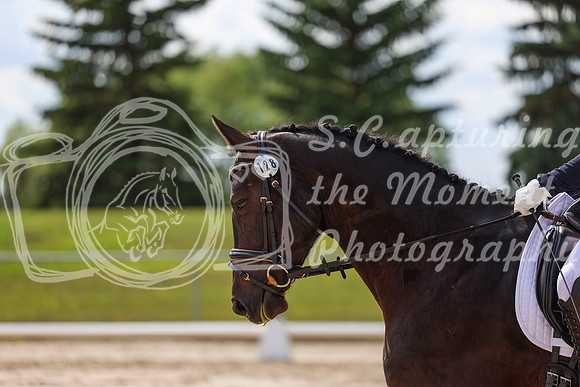 2025 - Dressage Festival - Saturday July 5th - 14741