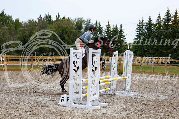 2025 - Haylee - Picco Horse Show - Friay July 25th 02089